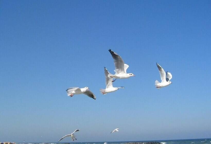 בית מלון כפרי Sanatorium Uzdrowiskowe Lech