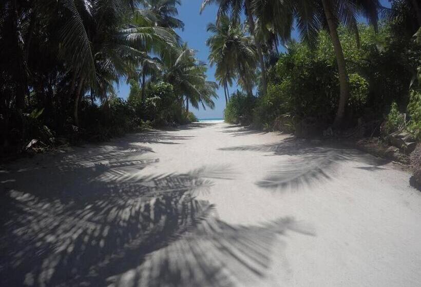 تختخواب و صبحانه Origami Inn Himandhoo