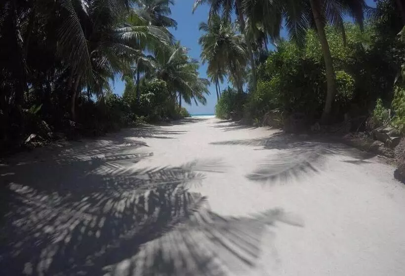 تختخواب و صبحانه Origami Inn Himandhoo