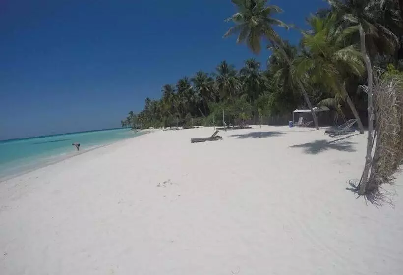 تختخواب و صبحانه Origami Inn Himandhoo