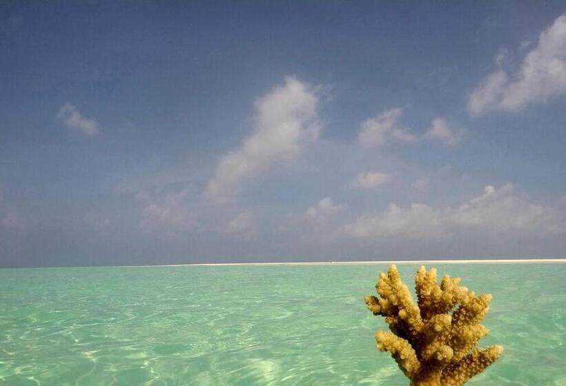 تختخواب و صبحانه Origami Inn Himandhoo