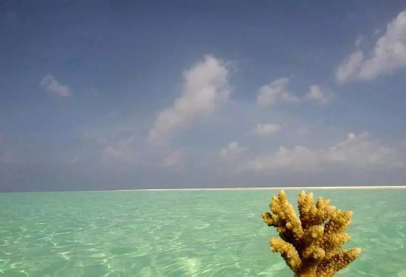 تختخواب و صبحانه Origami Inn Himandhoo