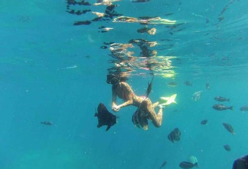 تختخواب و صبحانه Origami Inn Himandhoo