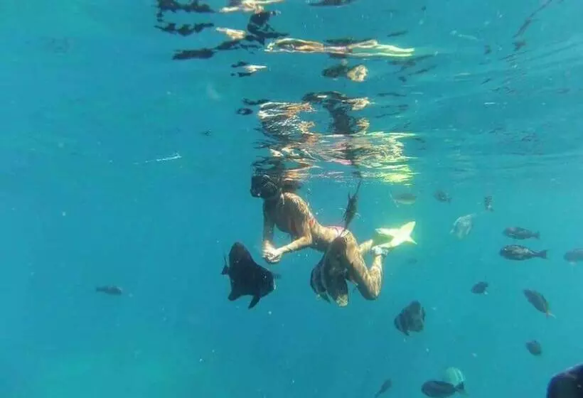 تختخواب و صبحانه Origami Inn Himandhoo