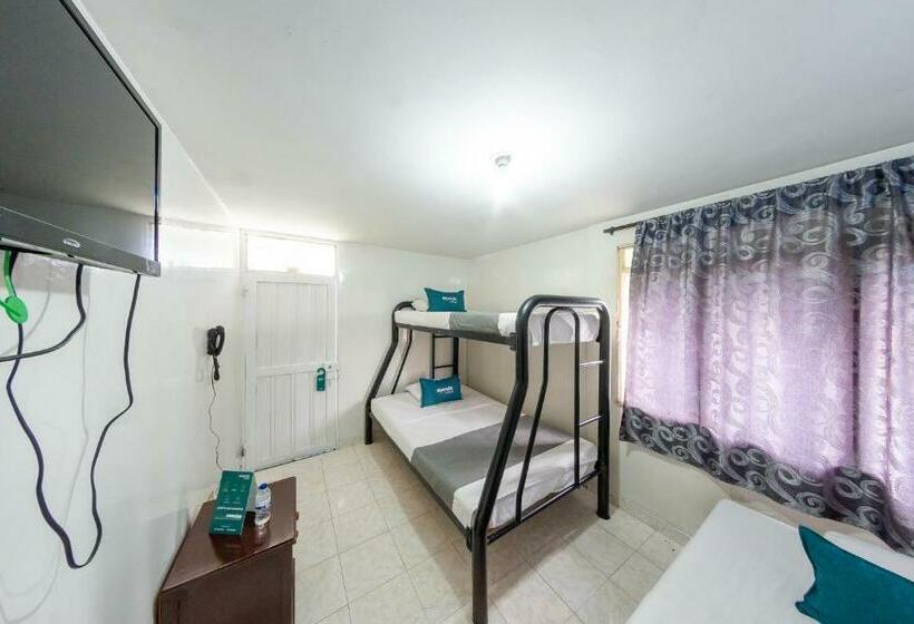 ホテル Ayenda Danilo