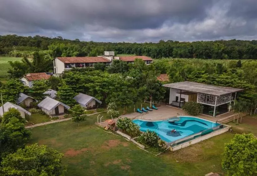 ホテル Dandeli Tiger Cottages