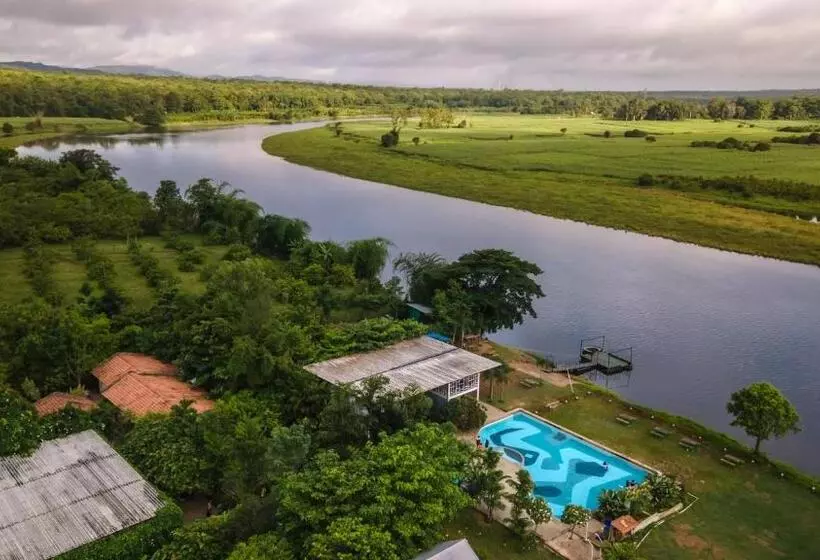 ホテル Dandeli Tiger Cottages