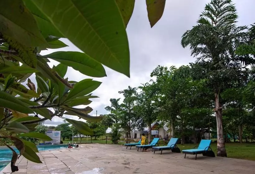 ホテル Dandeli Tiger Cottages