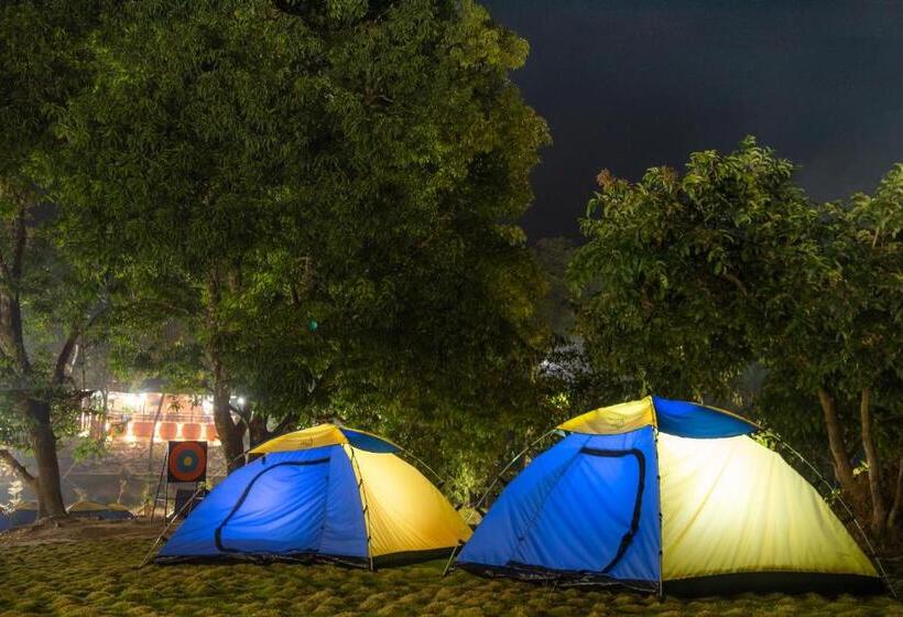 Отель Dandeli Tiger Cottages