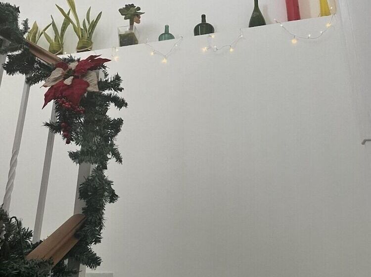 膳宿费 Hostal Fleming