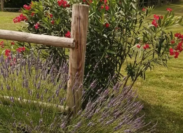 Majatalo La Fontaine De La Chapinière Cw