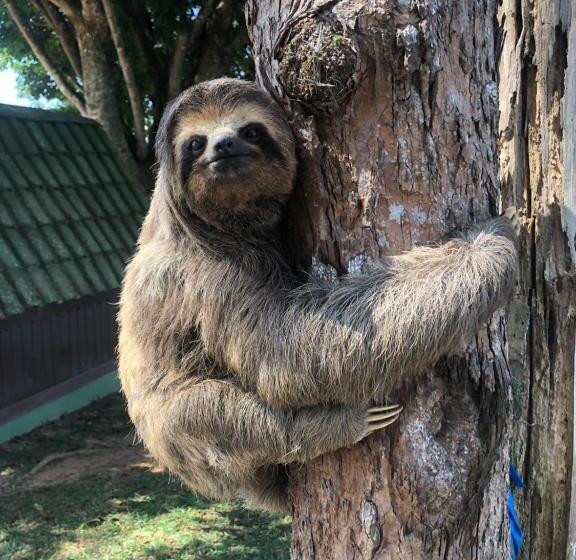 בית מלון כפרי Pousada Marina águas De Igaratá