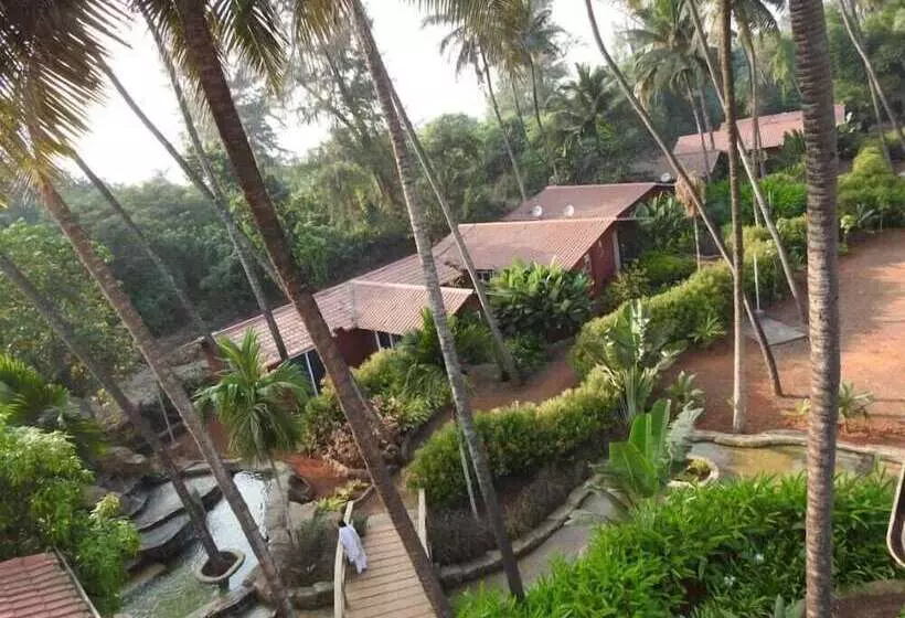 The Stream Resort