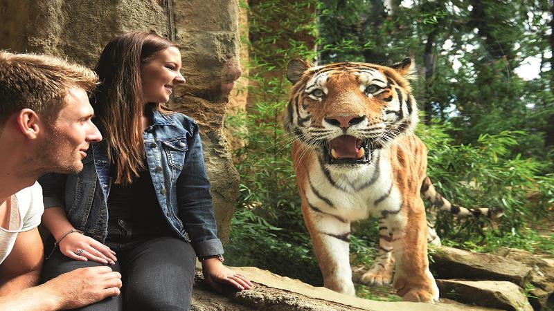 فندق Holiday Inn Express Recklinghausen