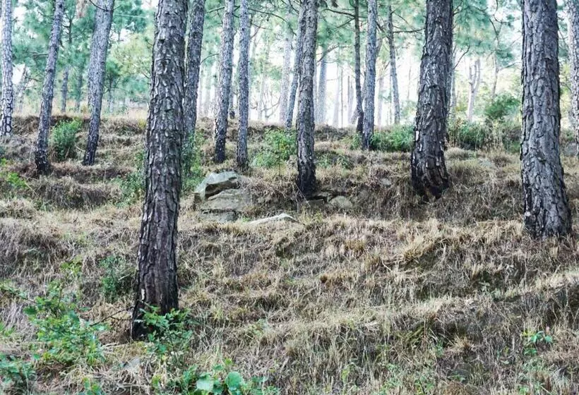 Hotelli Sanawar View