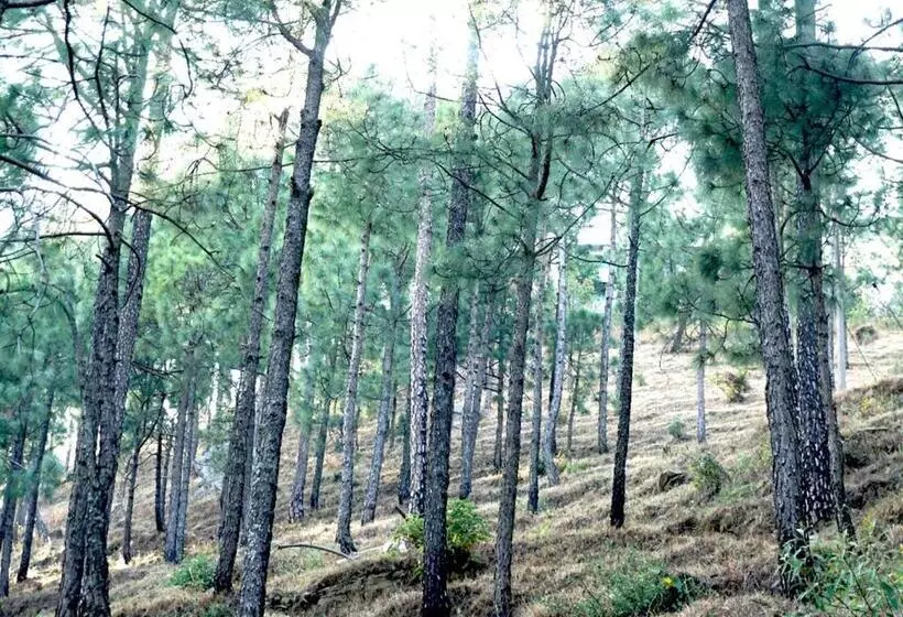 Hotelli Sanawar View