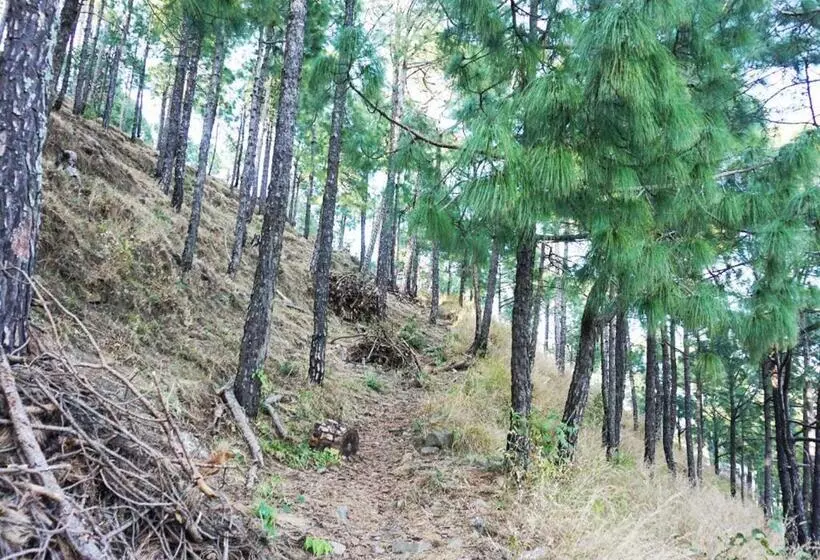 Hotelli Sanawar View