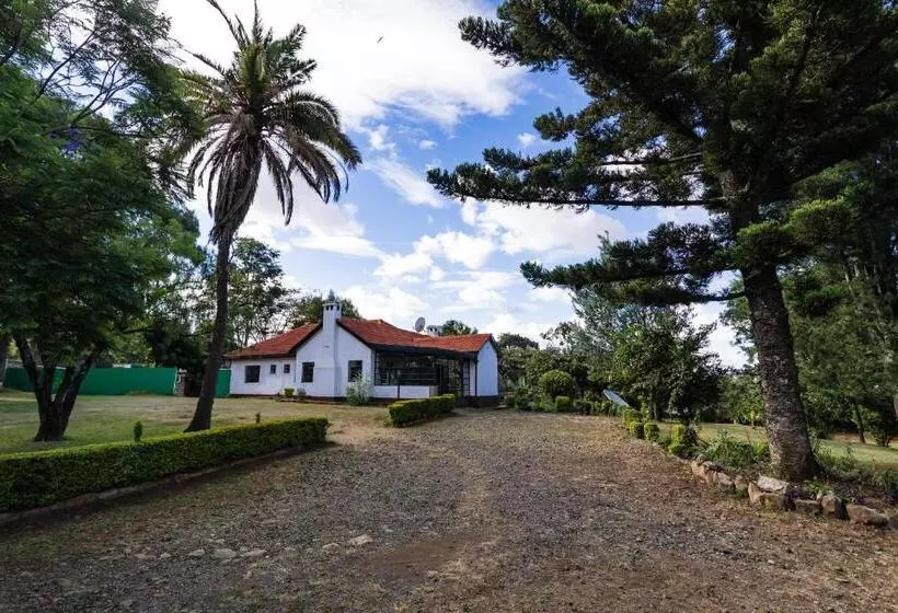 پانسیون Eldopalm Guesthouse