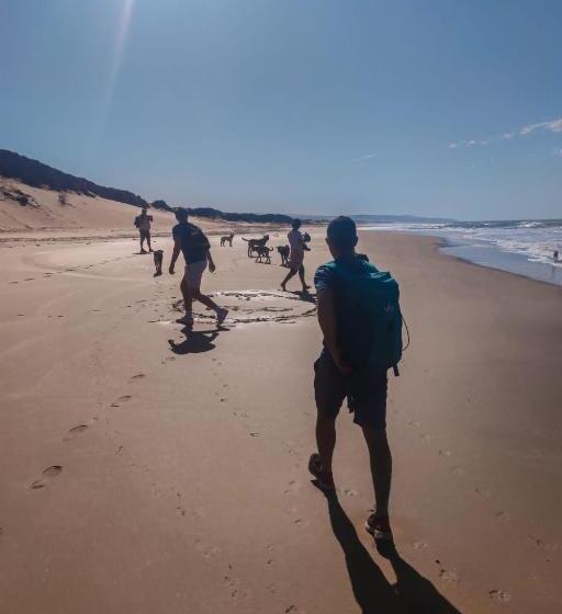 Пансион Tassourt Lodge