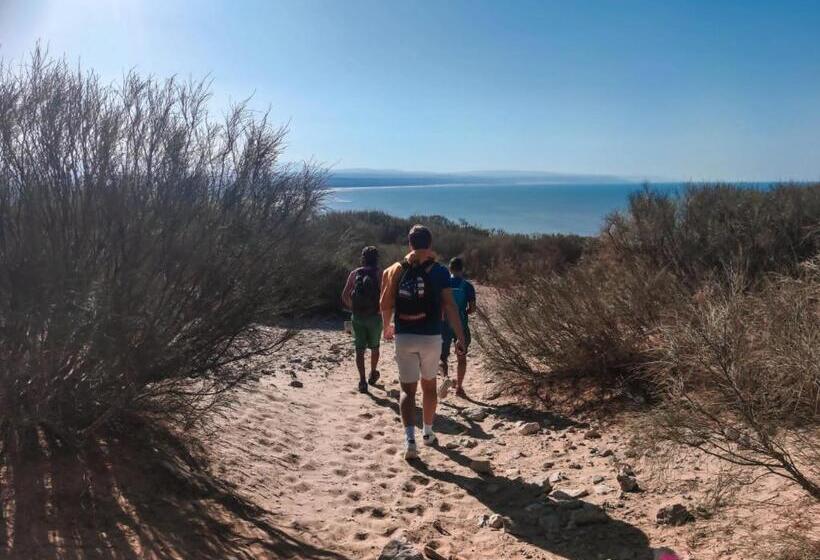 Пансион Tassourt Lodge