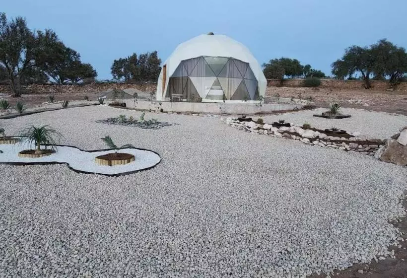 ペンション Tassourt Lodge