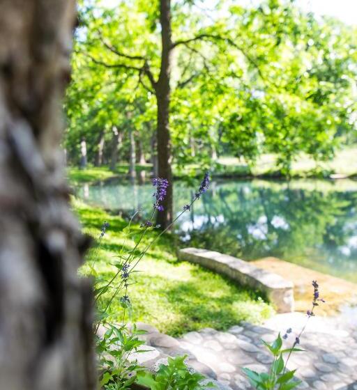 منتجع The Springs Retreat