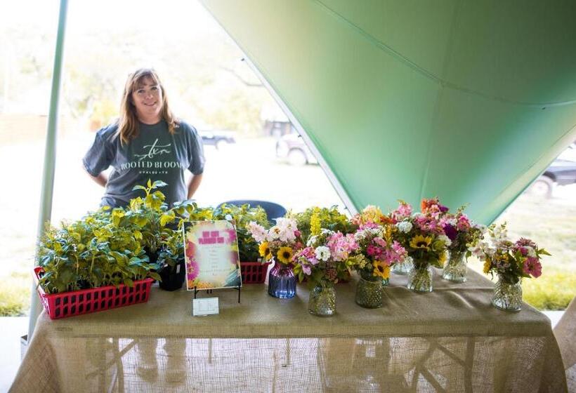 منتجع The Springs Retreat