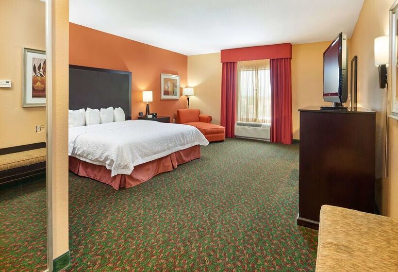 Hampton Inn & Suites Waco South