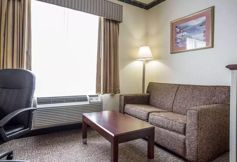 酒店 Comfort Inn & Suites Ft.jackson Maingate