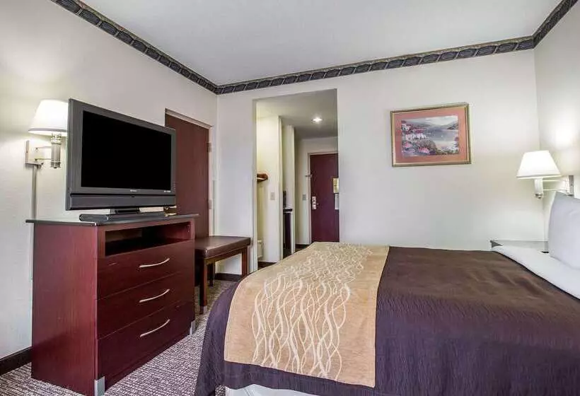 酒店 Comfort Inn & Suites Ft.jackson Maingate