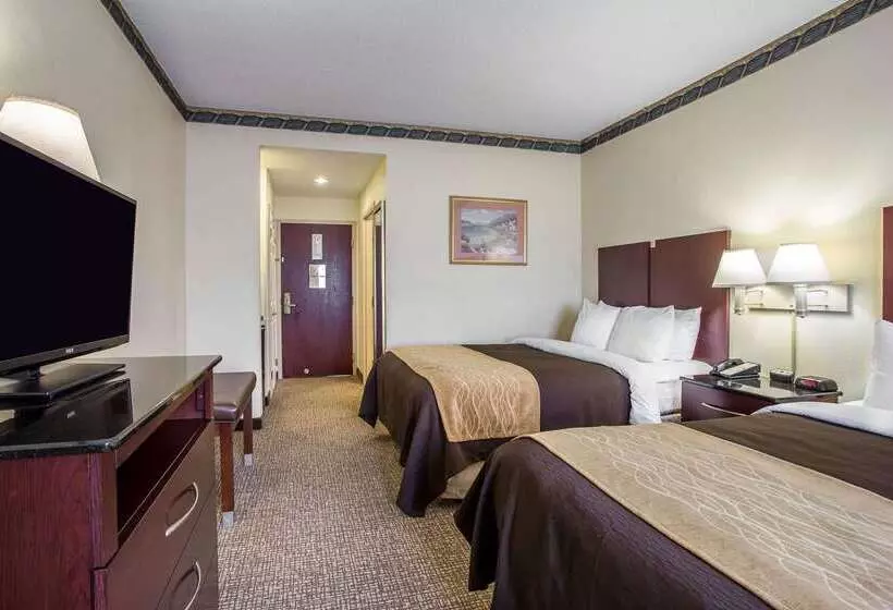 酒店 Comfort Inn & Suites Ft.jackson Maingate