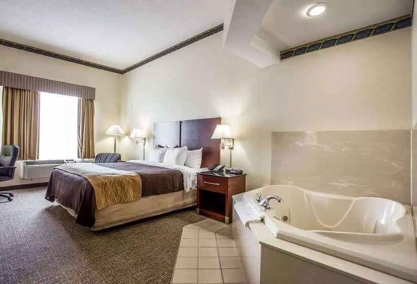 酒店 Comfort Inn & Suites Ft.jackson Maingate