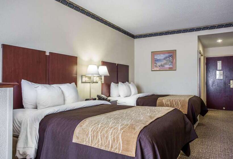 Отель Comfort Inn & Suites Ft.jackson Maingate