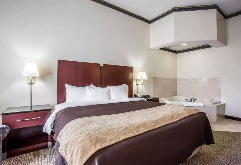 酒店 Comfort Inn & Suites Ft.jackson Maingate