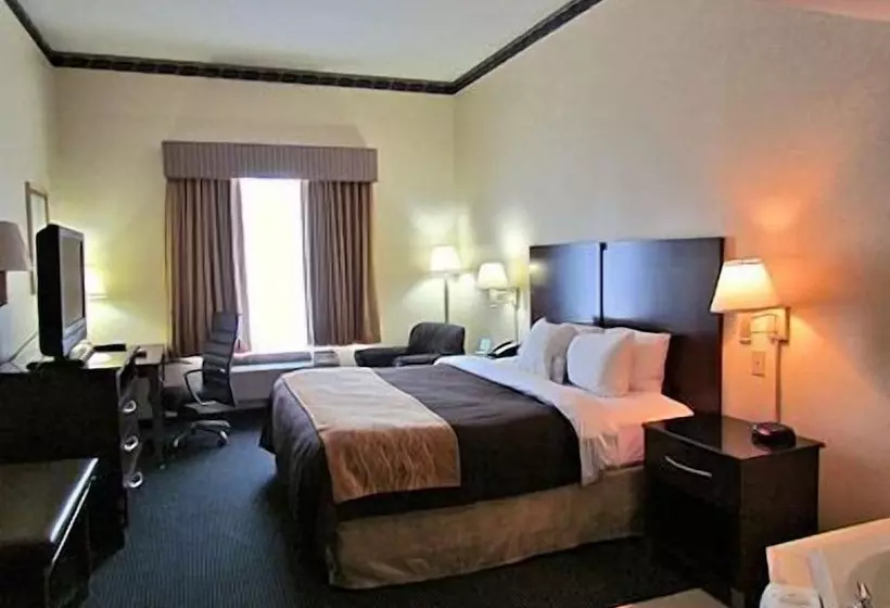 酒店 Comfort Inn & Suites Ft.jackson Maingate