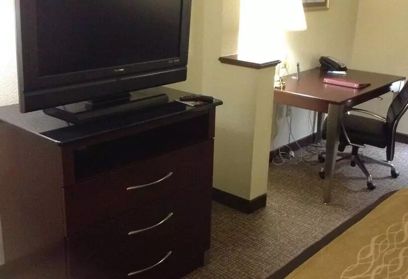 酒店 Comfort Inn & Suites Ft.jackson Maingate