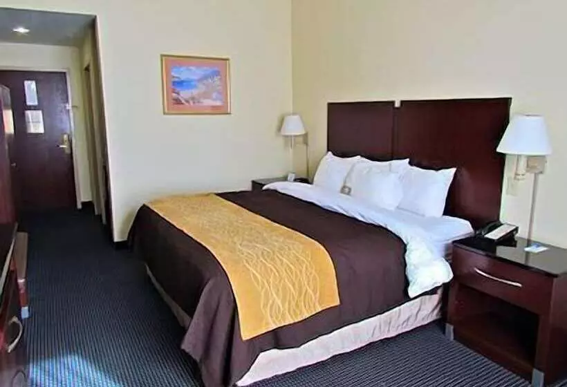 酒店 Comfort Inn & Suites Ft.jackson Maingate