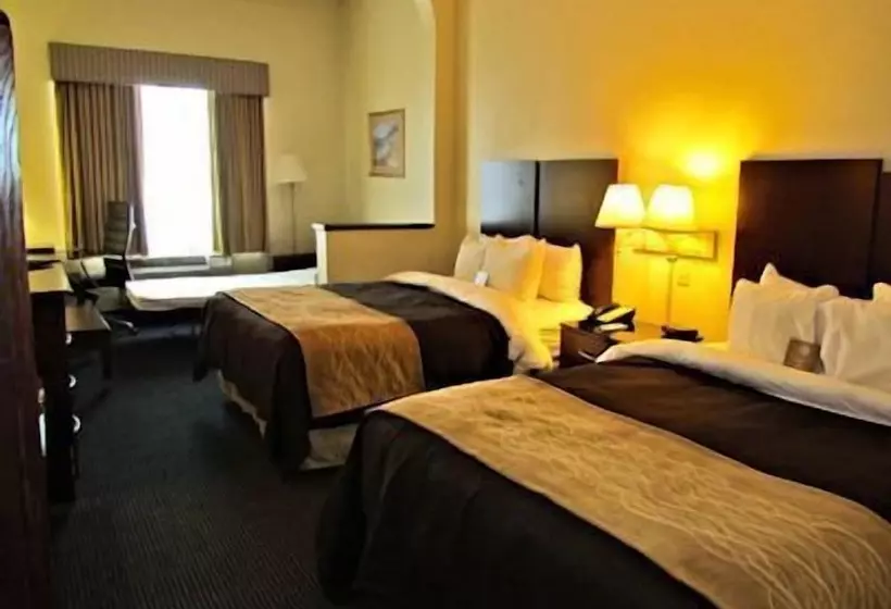 酒店 Comfort Inn & Suites Ft.jackson Maingate