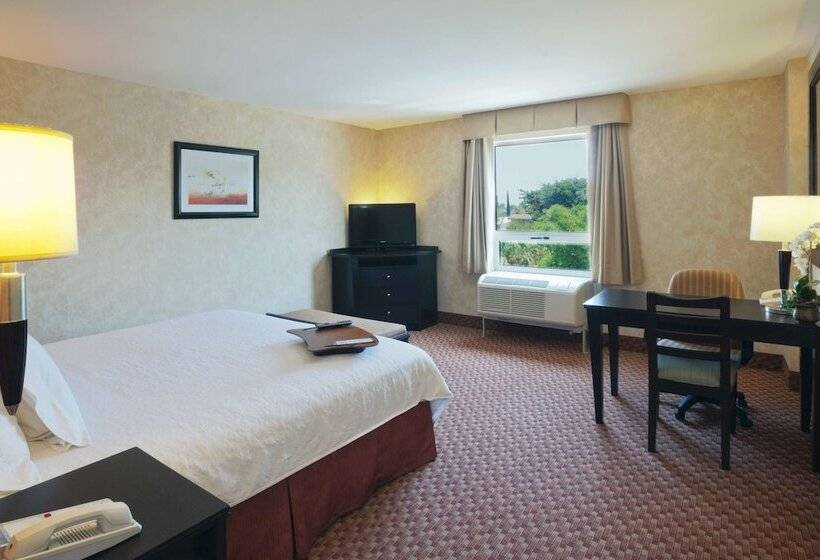 Otel Hampton Inn By Hilton Ciudad Victoria