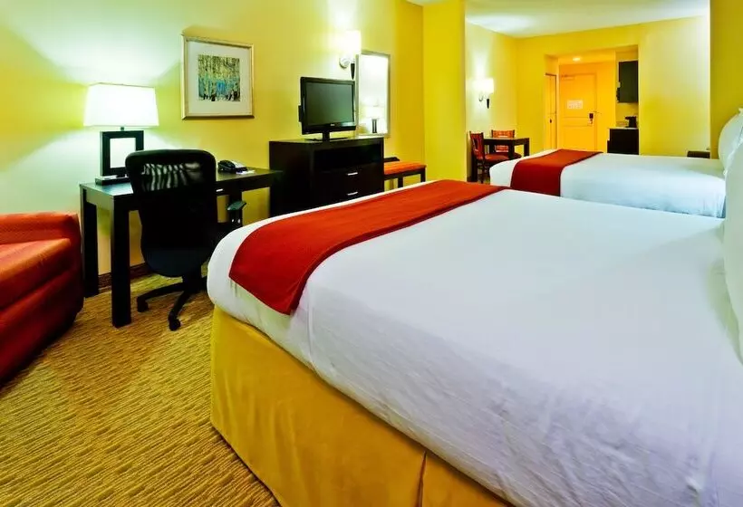 ホテル Holiday Inn Express Nashville Opryland, An Ihg