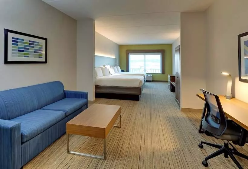 ホテル Holiday Inn Express Nashville Opryland, An Ihg
