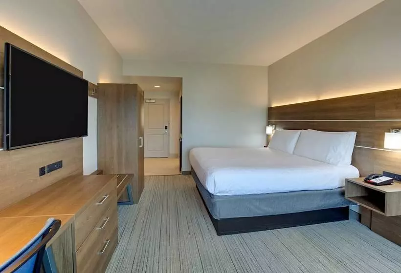 ホテル Holiday Inn Express Nashville Opryland, An Ihg
