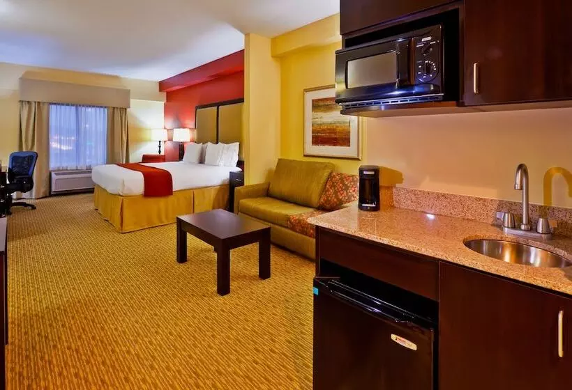 ホテル Holiday Inn Express Nashville Opryland, An Ihg