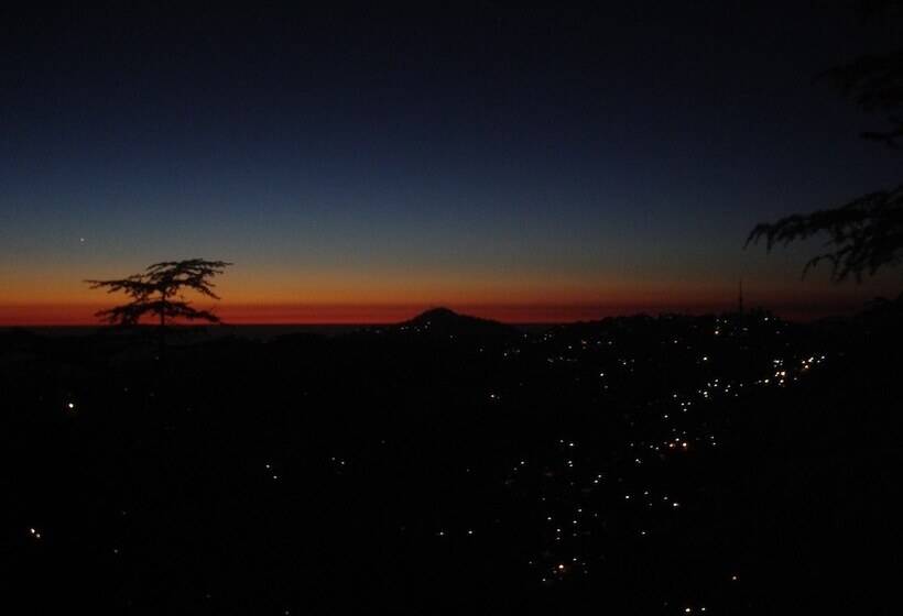 Hotel Honeymoon Inn Shimla