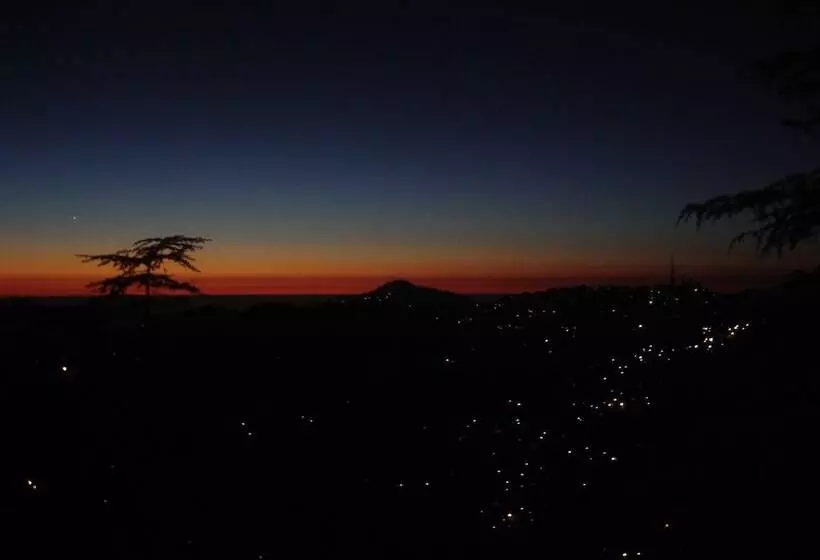 هتل Honeymoon Inn Shimla