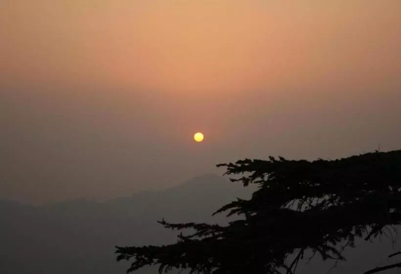 هتل Honeymoon Inn Shimla