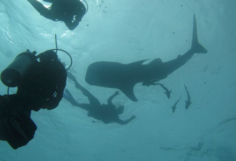 هتل Koh Tao Bamboo Huts