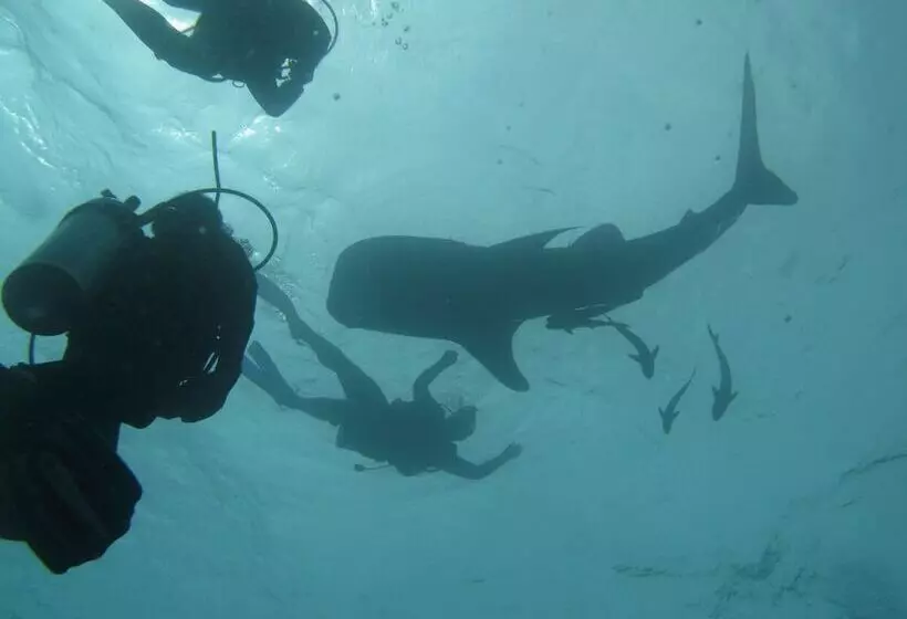 Otel Koh Tao Bamboo Huts