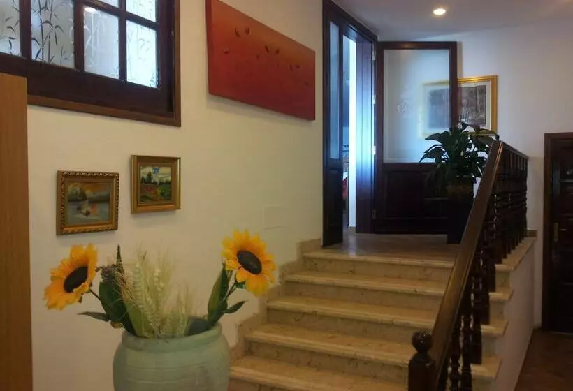 La Rosa Hotel   Selinunte