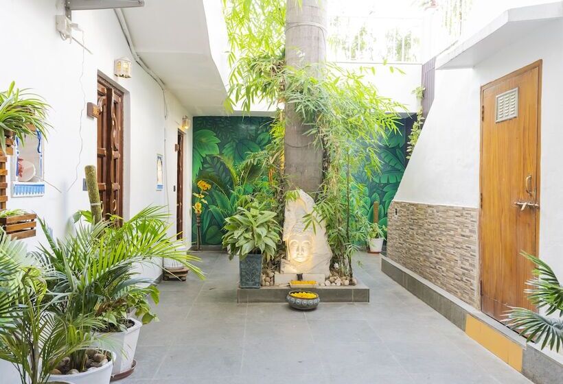 Отель Natural Lake View